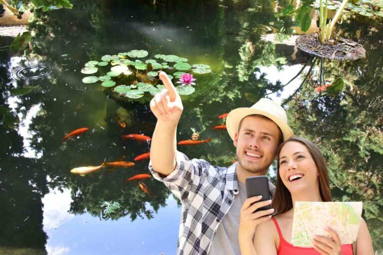 turisti e pesci in un laghetto