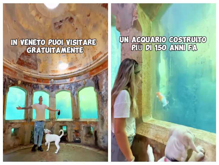 screen del video che parla dell'acquario di parco rossi