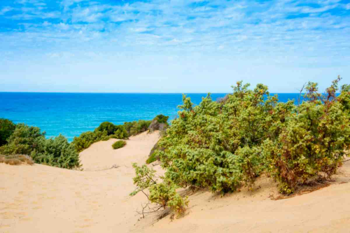 Dune di Piscinas Sardegna