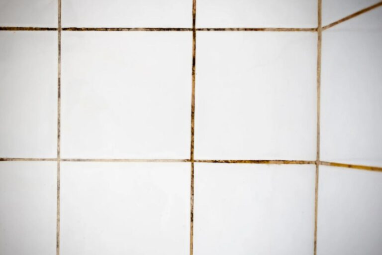 fughe piastrelle sporche